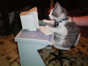 internship resume cat typing