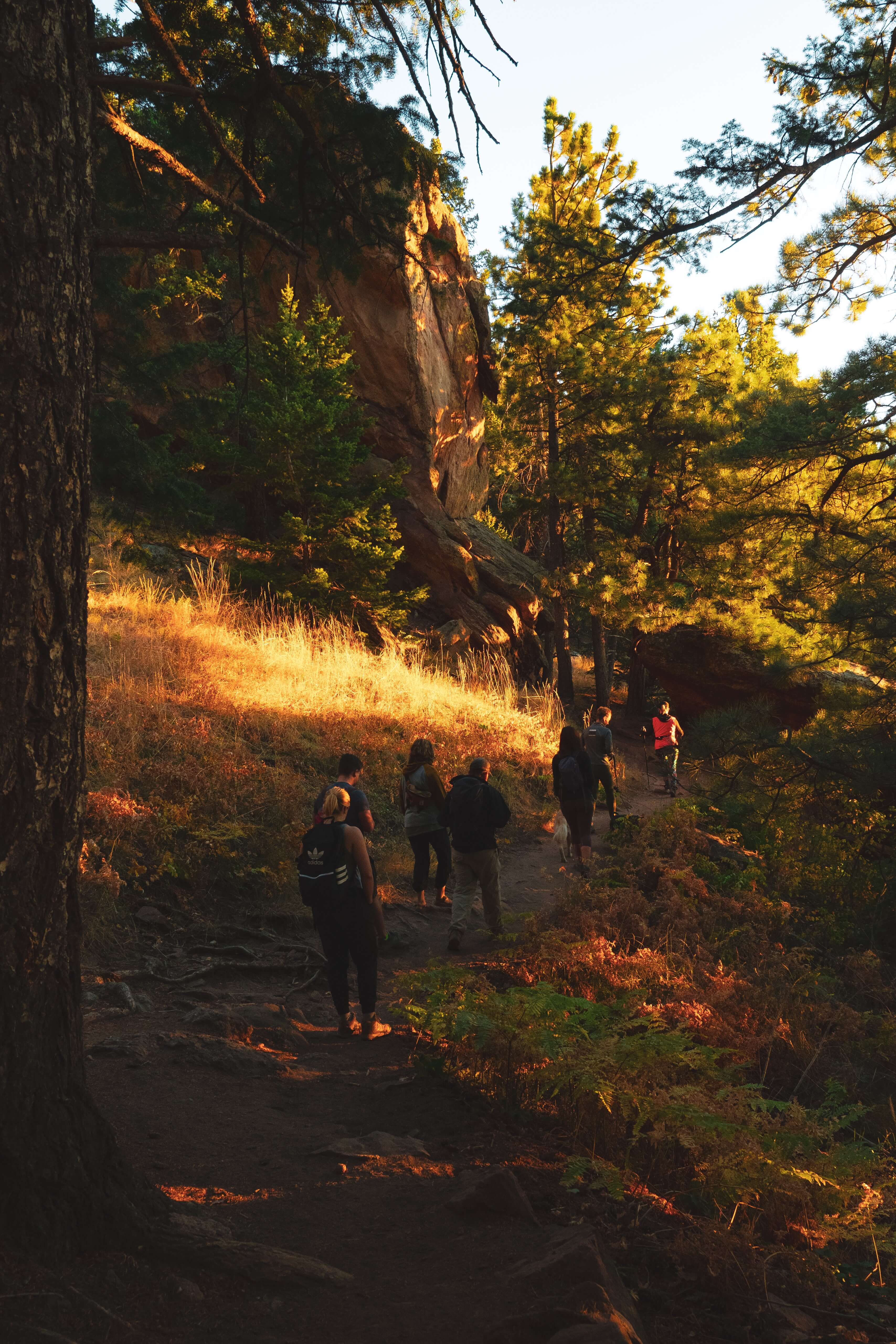 colorado boulder supplemental essay