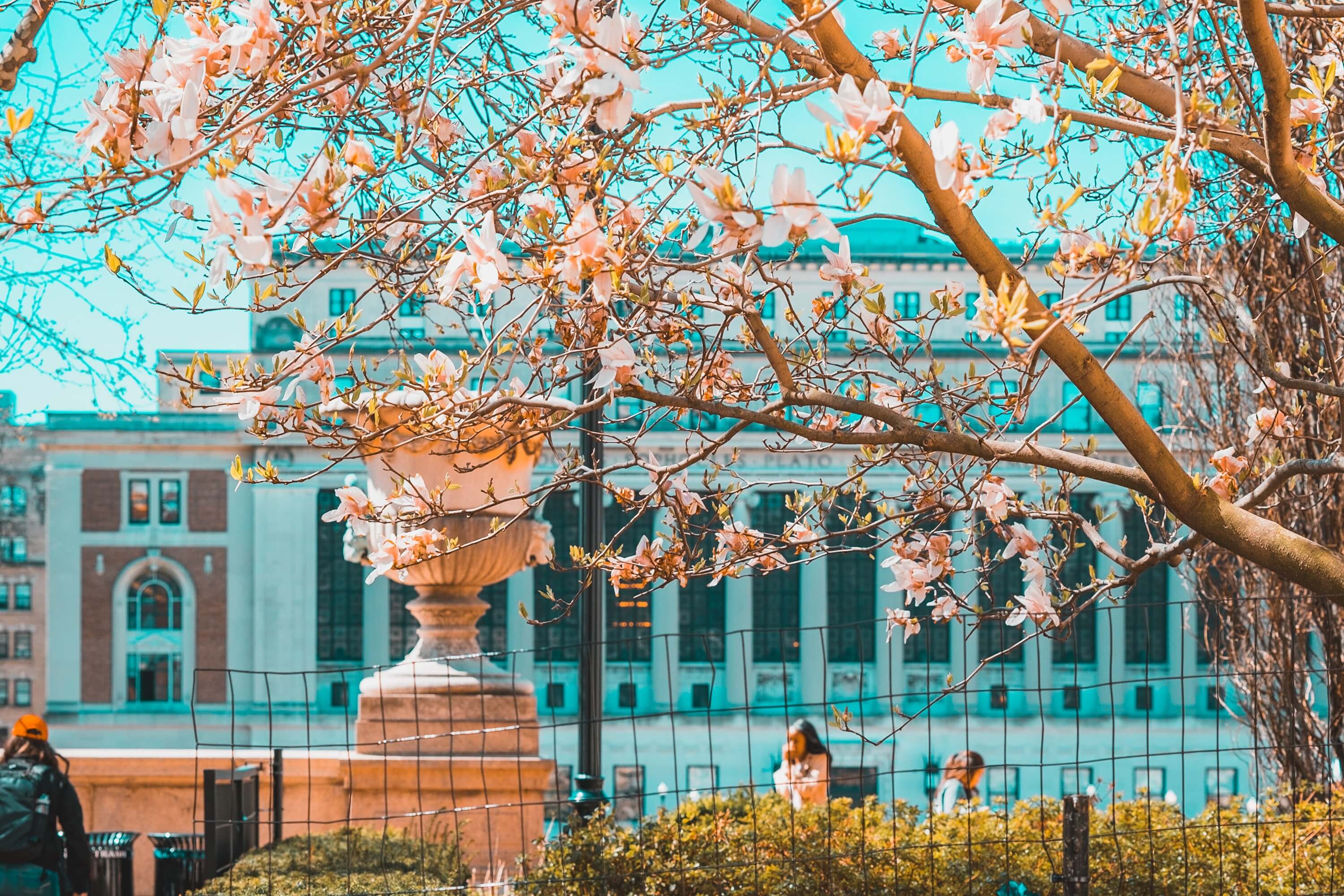 202324 Columbia University Supplemental Essay Prompt Guide