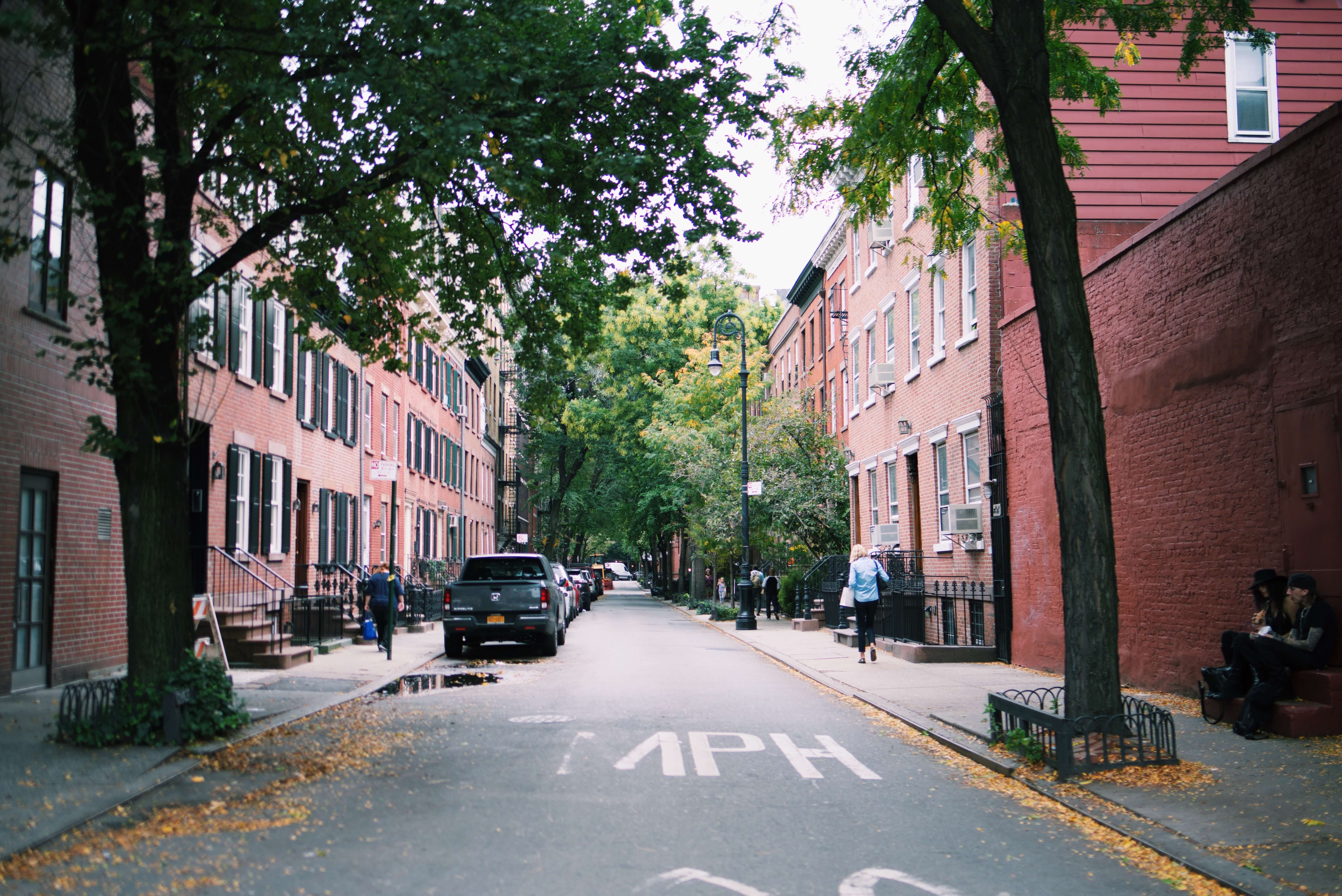 Nyu Common App Requirements Nyu Common App Requirements