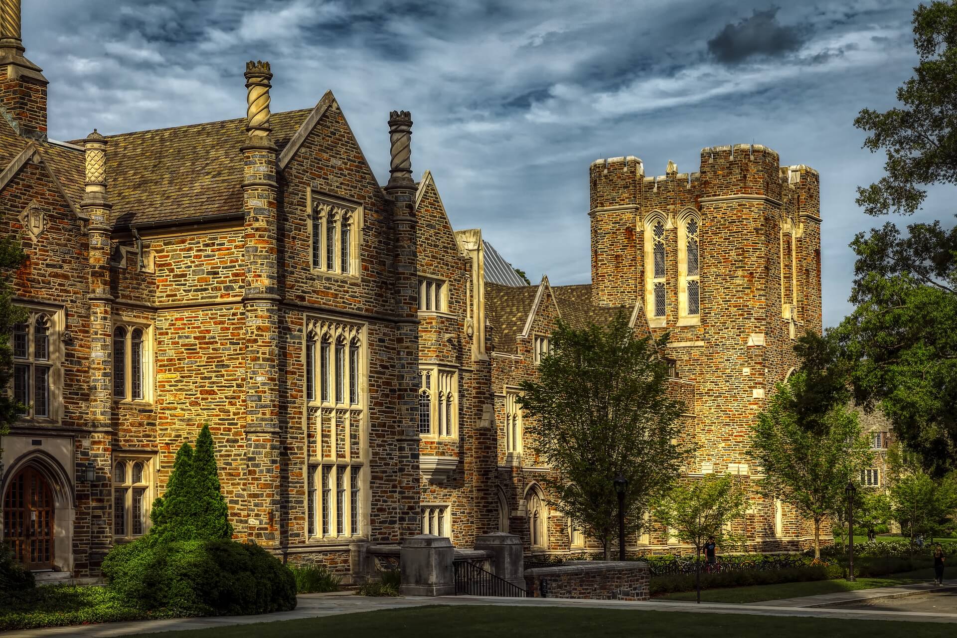 supplemental essays for duke university