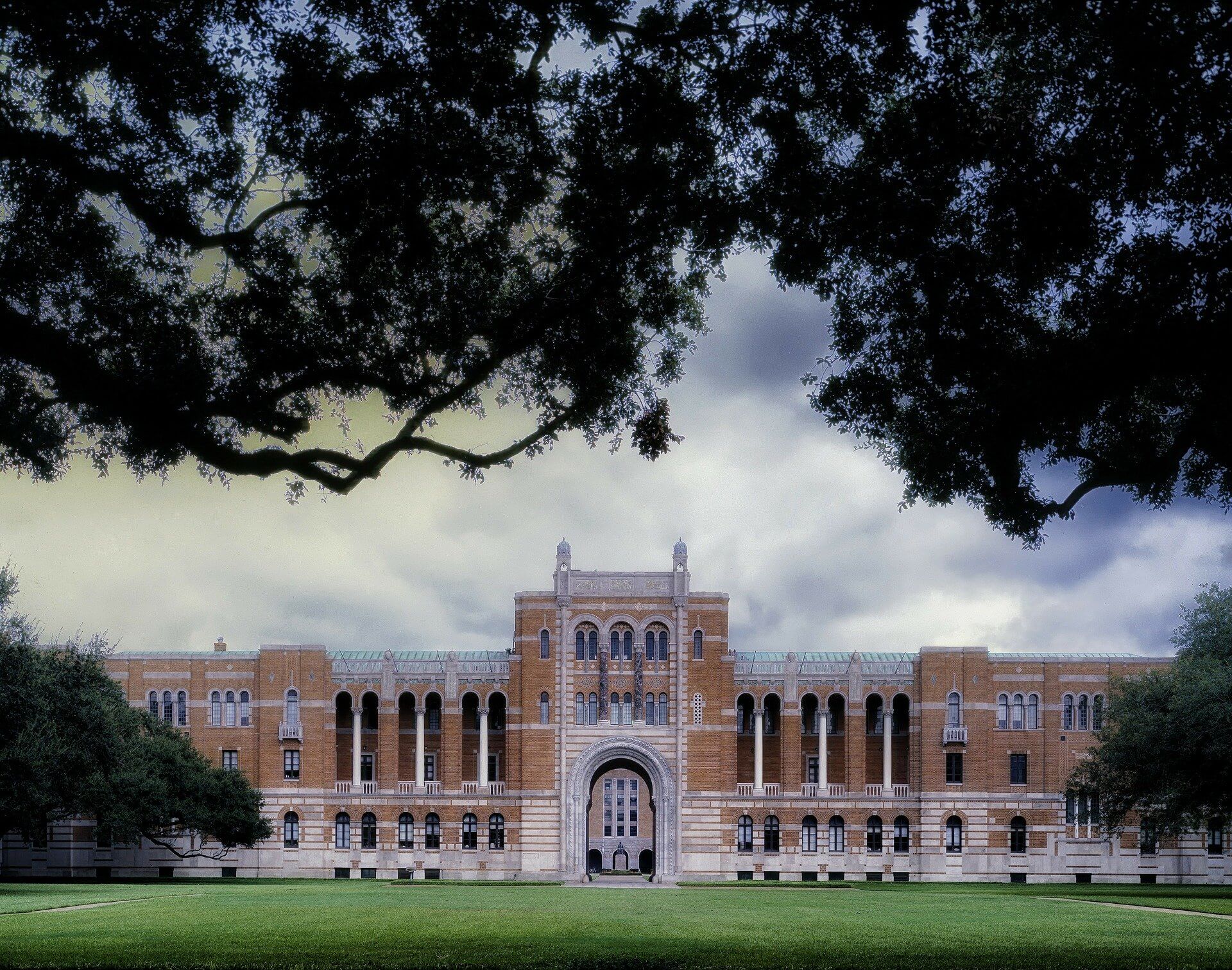 rice university required essay