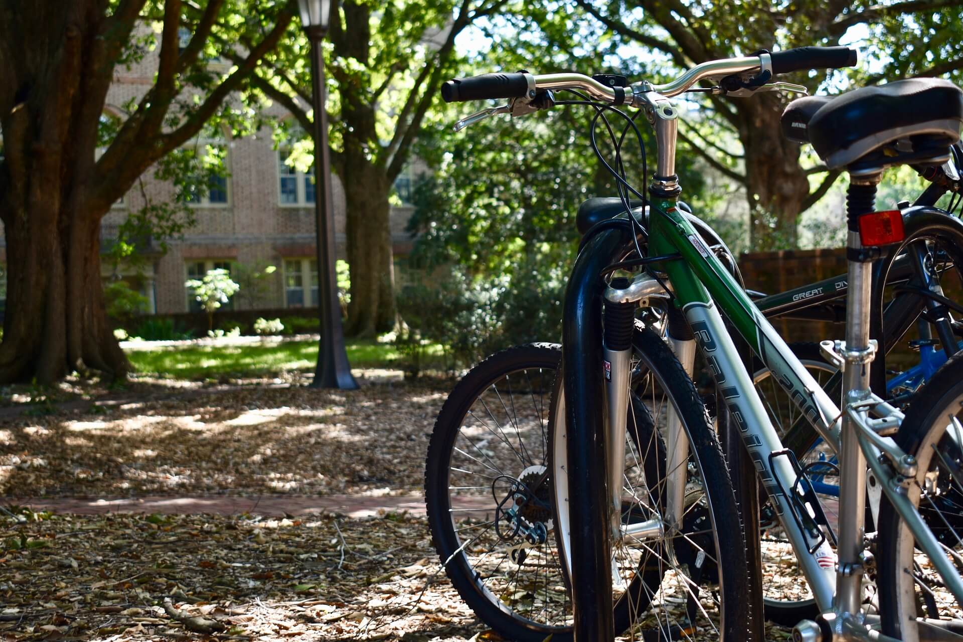 202324 College of William & Mary Supplemental Essay Prompt Guide