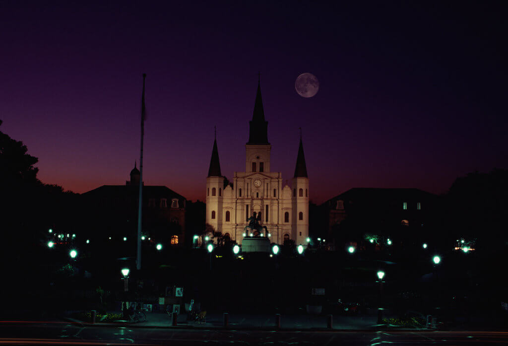 Tulane essays 2021 image