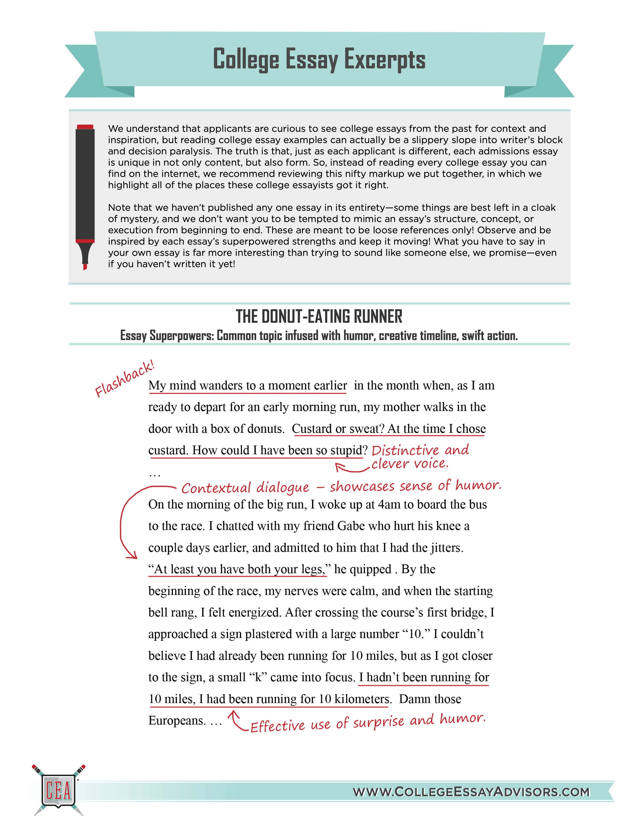College Essay Excerpts